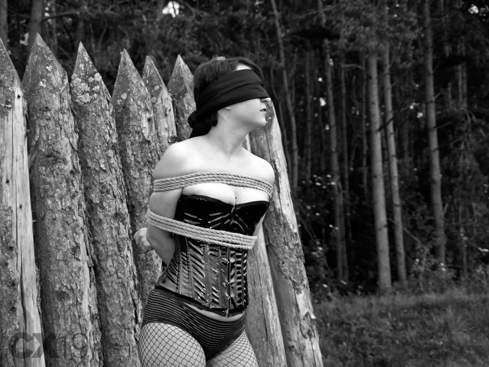 Bound and Blindfolded Outdoors
