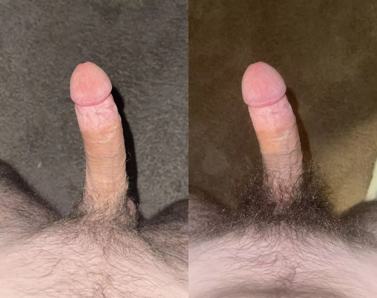 Does the bush make it look smaller? π
 Does the bush make it look smaller? π