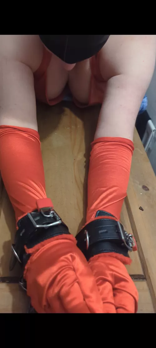 Front view of last night's predicament