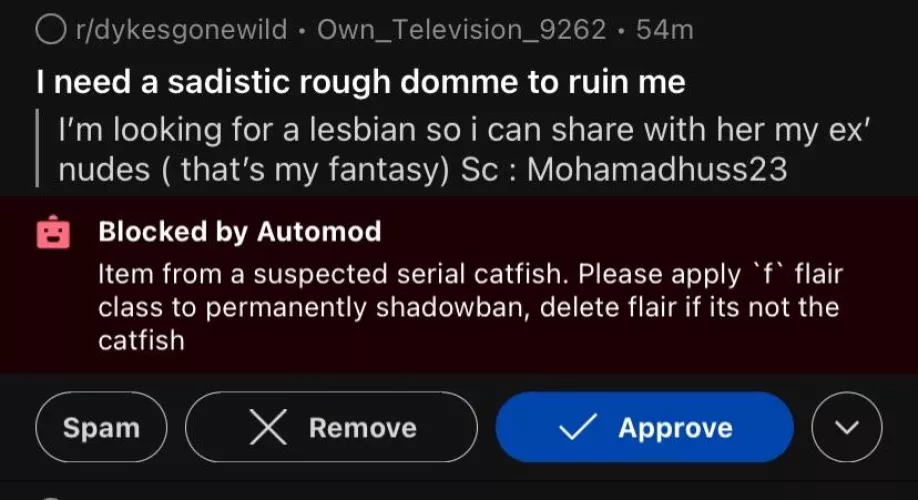 Hey guys. We’re currently dealing with a male attempting to abuse this community. (More details in post)