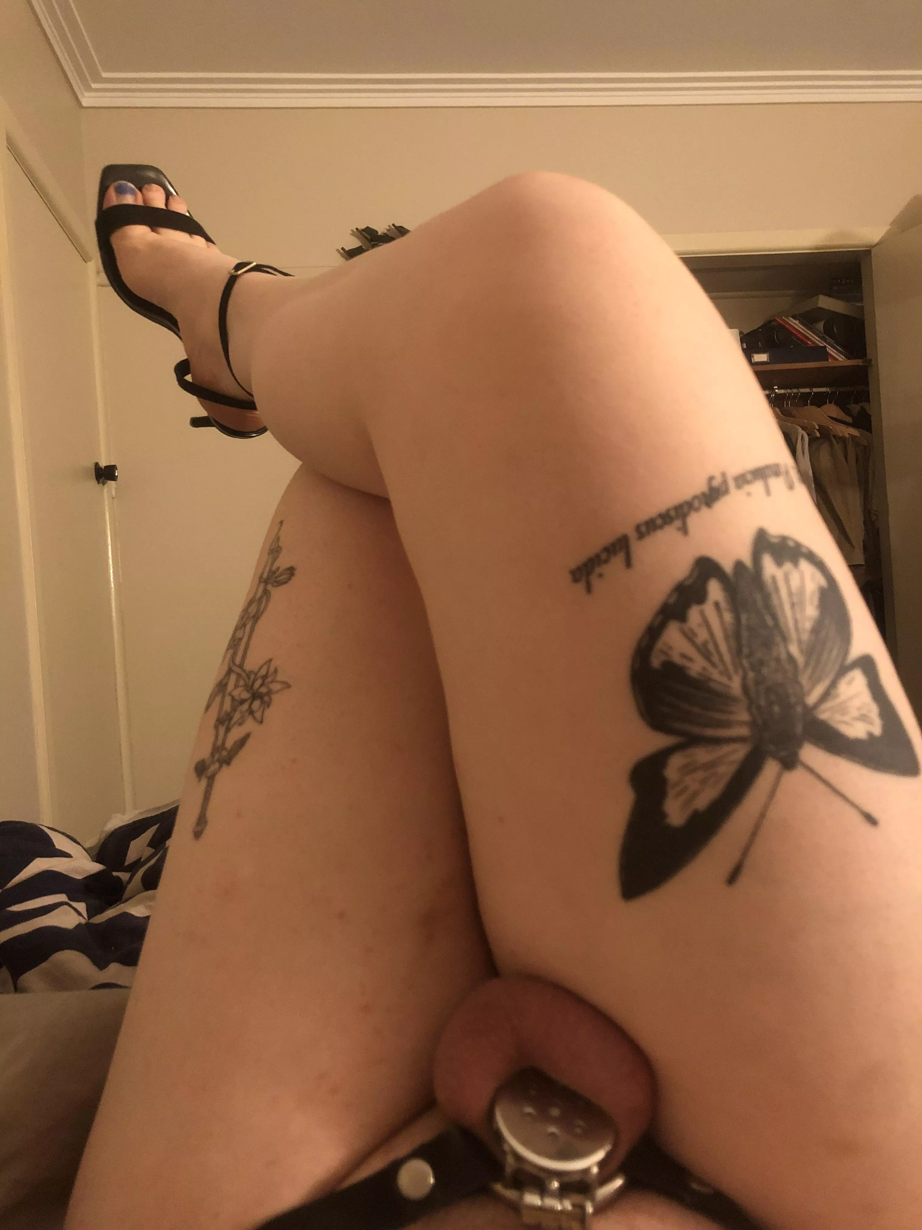 How long am I in chastity this time?