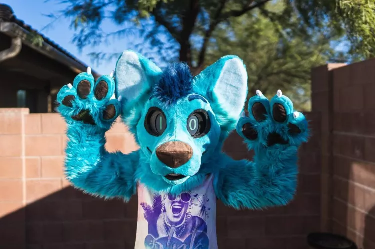 My fursuit has been complete! All thanks to BecauseFuzz!