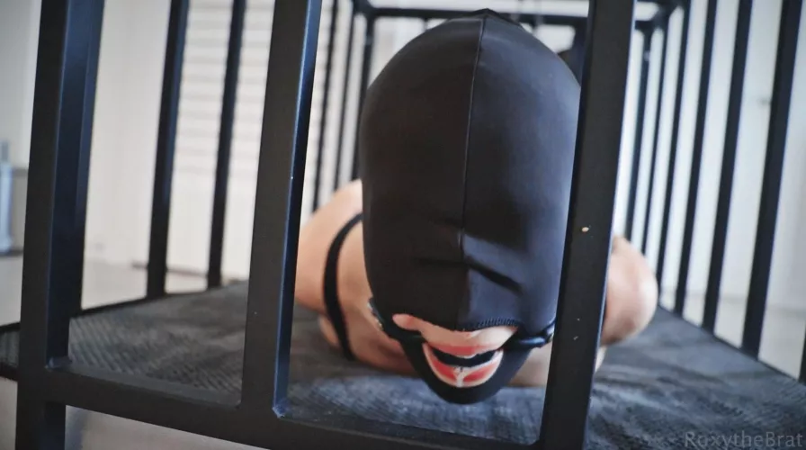 Roxy [f] bound gagged and caged