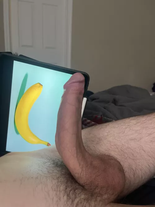 There’s a striking resemblance