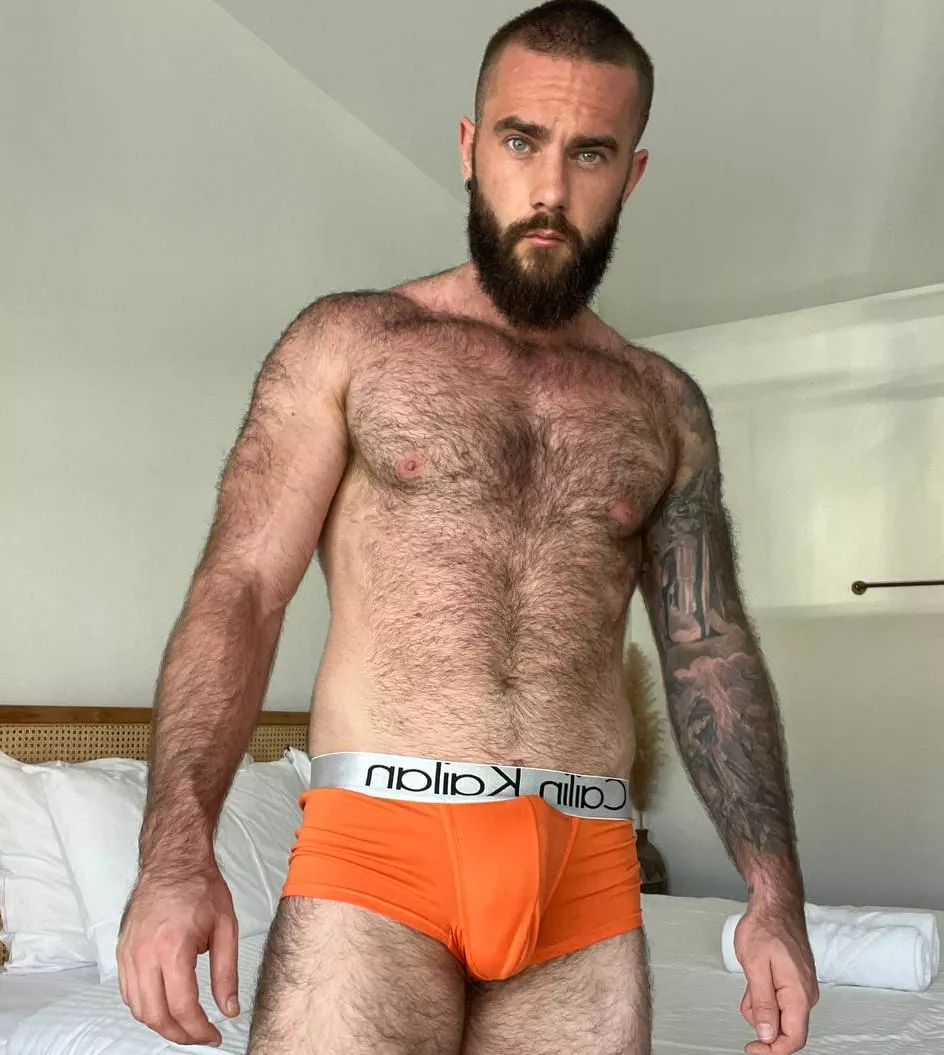 Would you sneak a peek in my windows if I lived in your neighborhood?