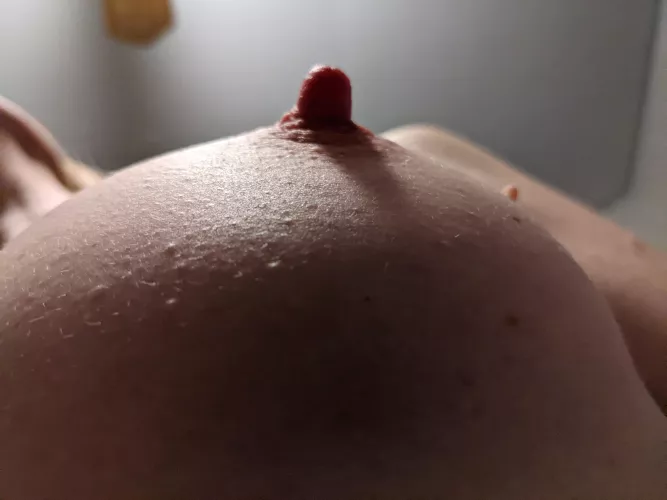 You know what it wants.