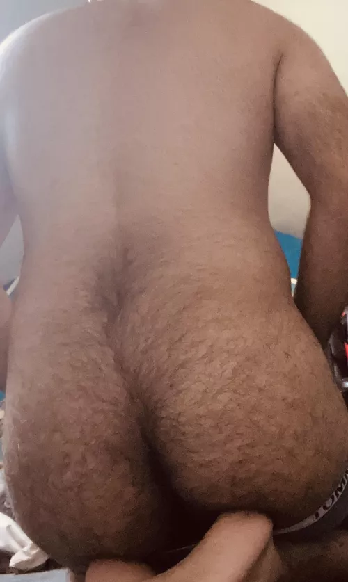 Did I present it nicely?