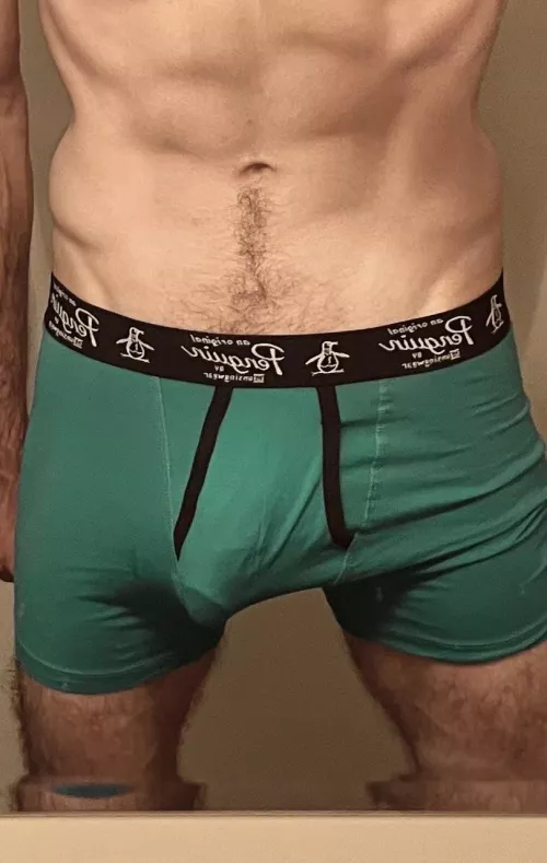 do these boxers leave enough to the imagination?