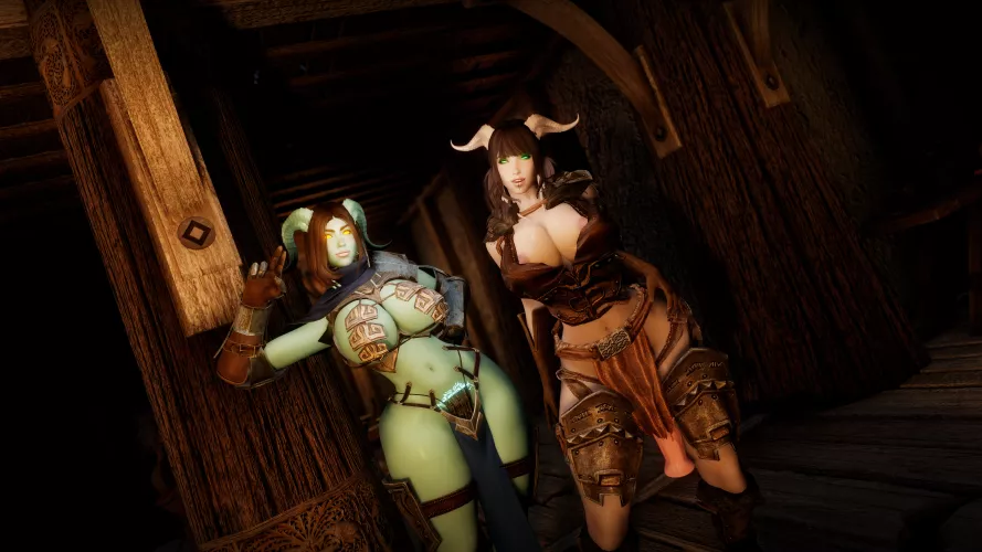 Elra meets a well endowed friend at the Bannered Mare. (Lack of posts due to me having some issues with mods hopefully I'll have it up and running soon, so in the meantime here is the last photo I took before Skyrim decided to eat itself)