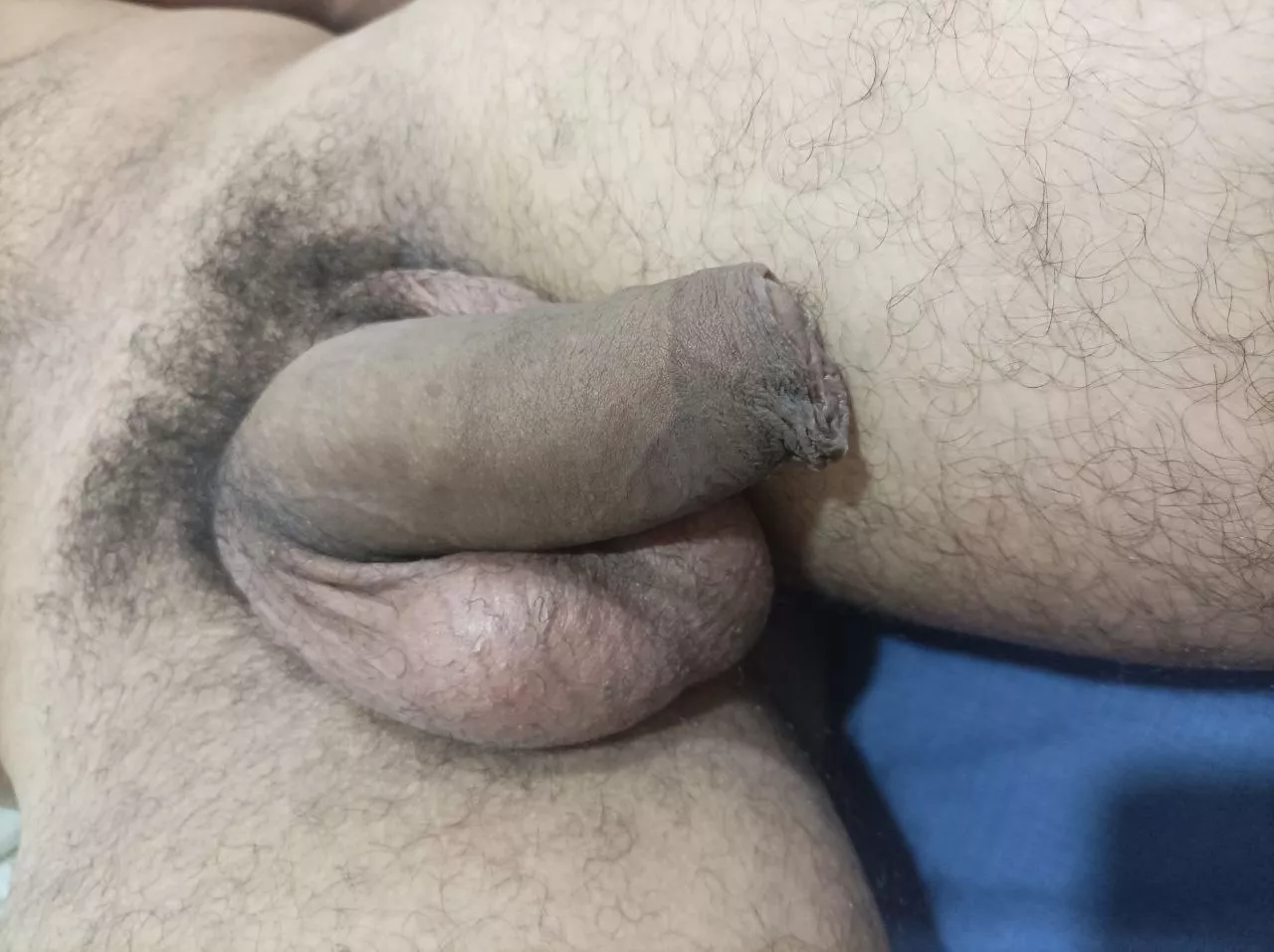 For the 5 people that see this