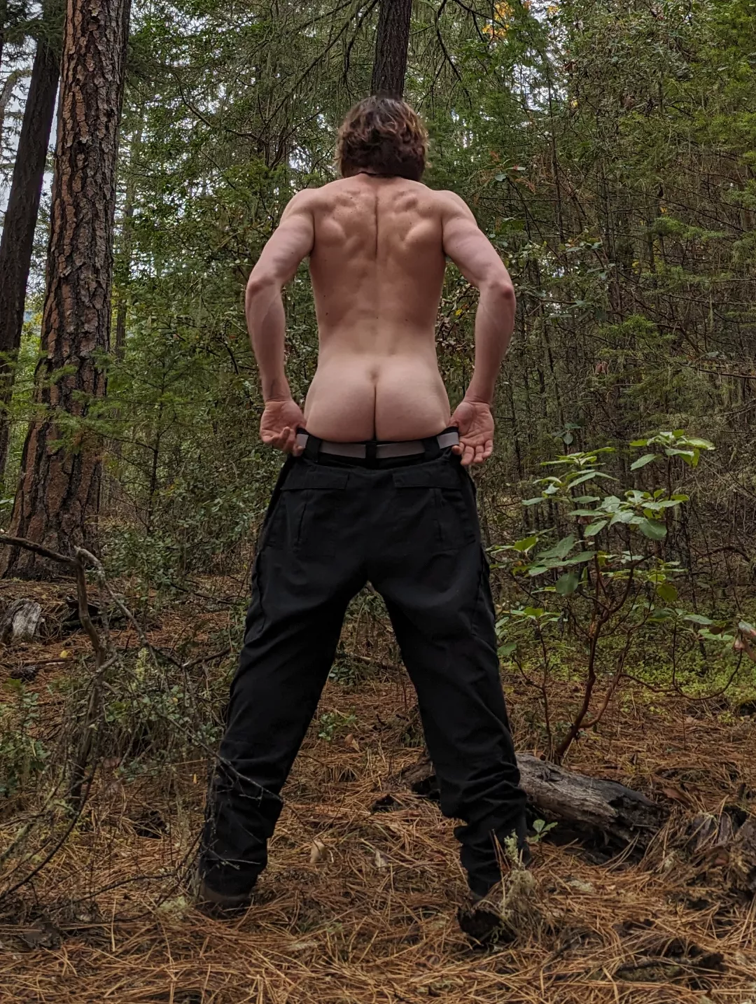 Forest booty