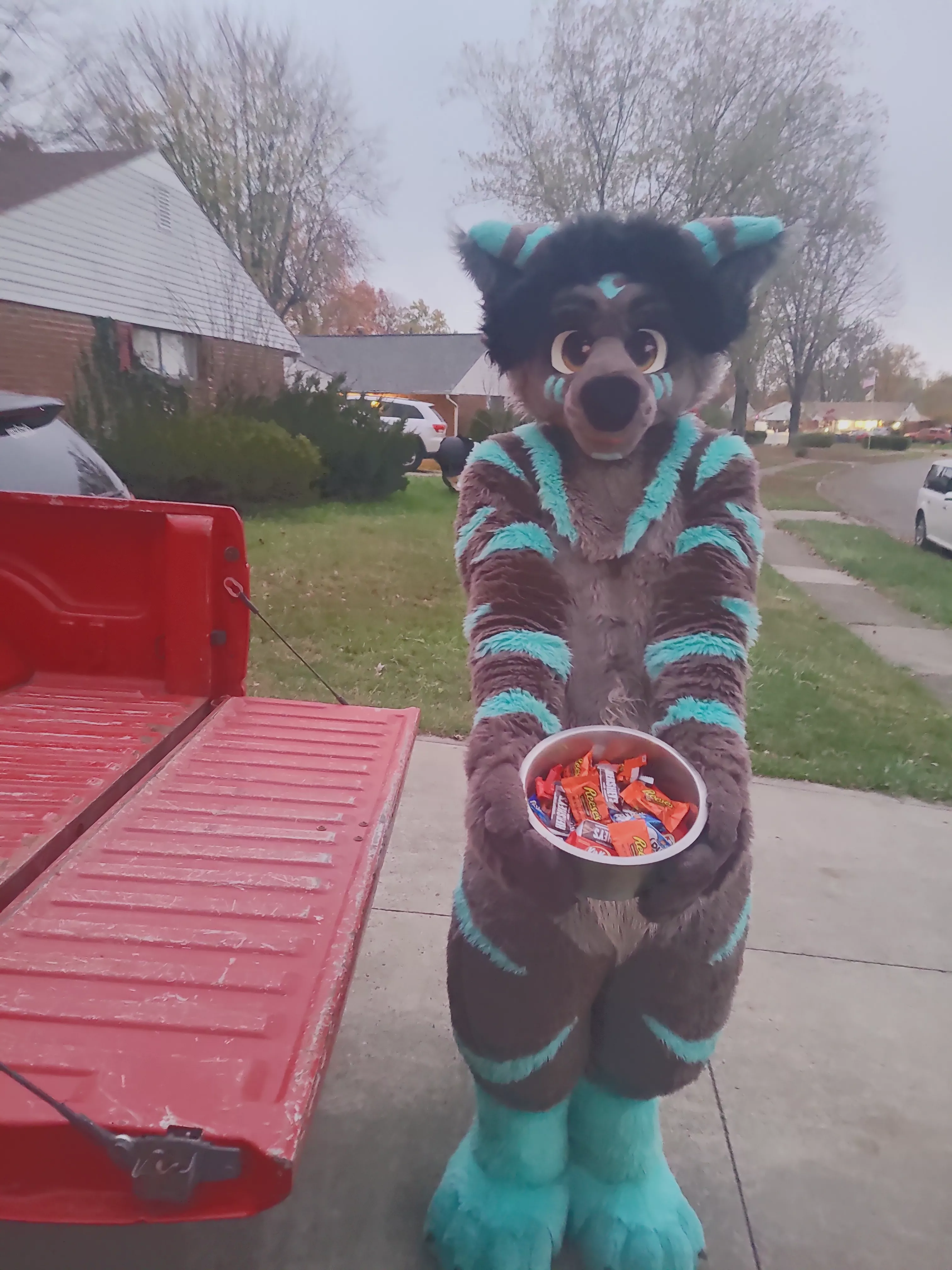 Happy fursuit furiday