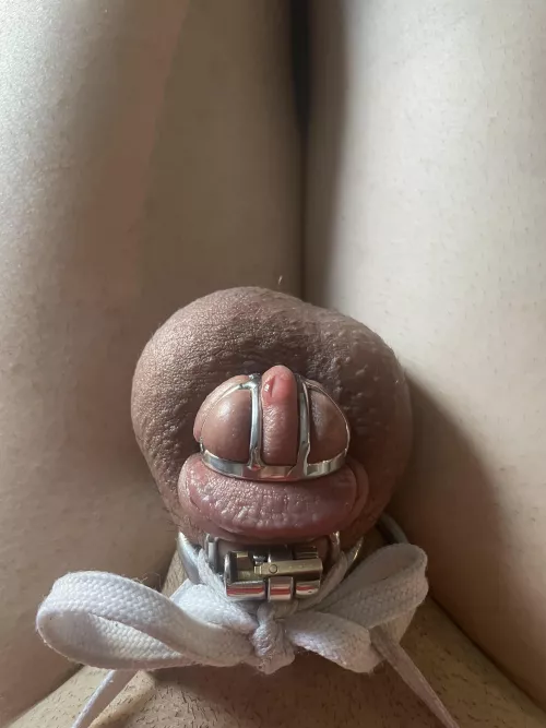 Hopefully it’s normal to be constantly dripping 😅