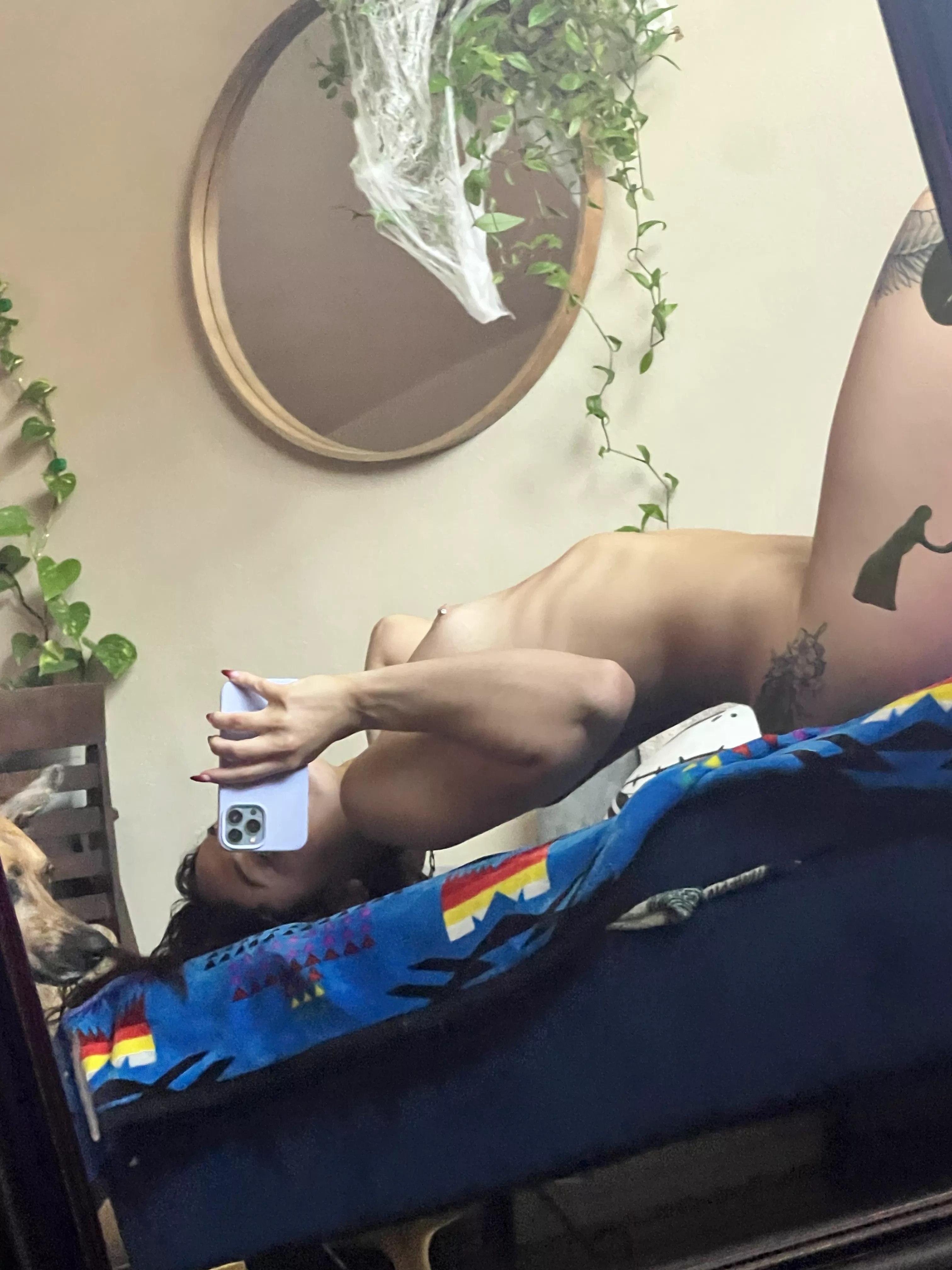 How’s that for a Halloween decoration?