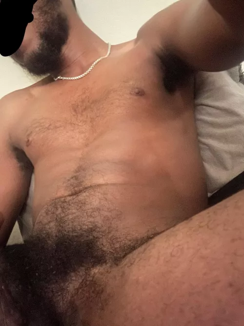 I need someone to bury their face in my bush… any takers?