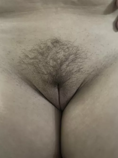 I think I like my trimmed look.