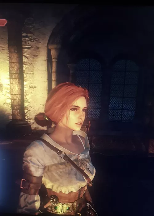 Merging of the witcher 3 girls (mod by unknown)