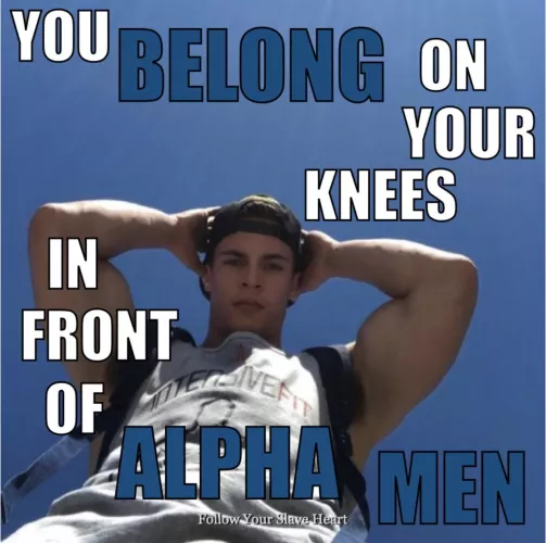 New alpha/fags discord server