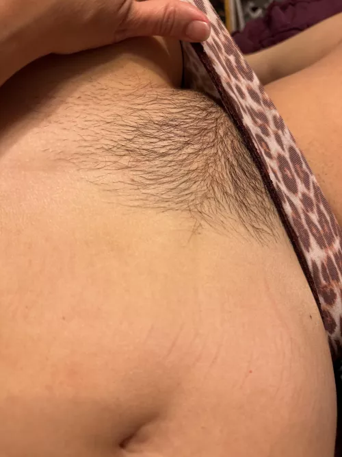 No-Shave November has begun