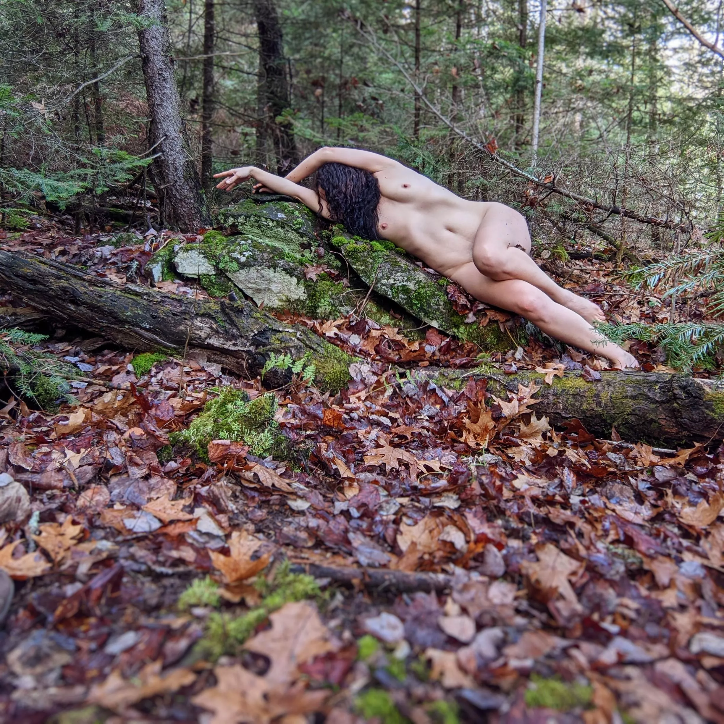 Settling in for along winter's nap