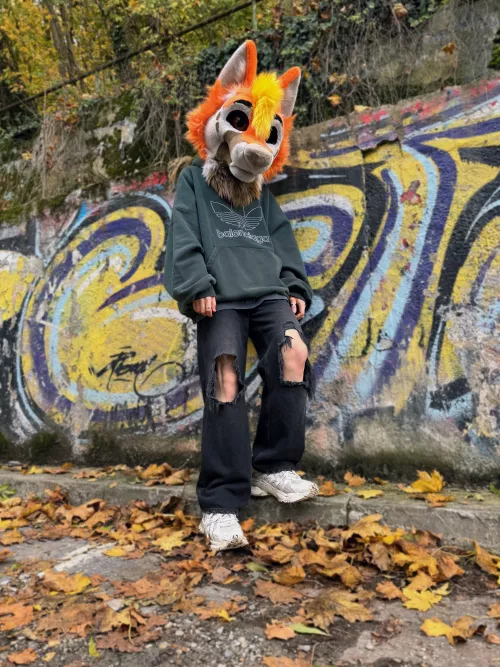The leafs are running wild, but so am i 🦊💨🍂
