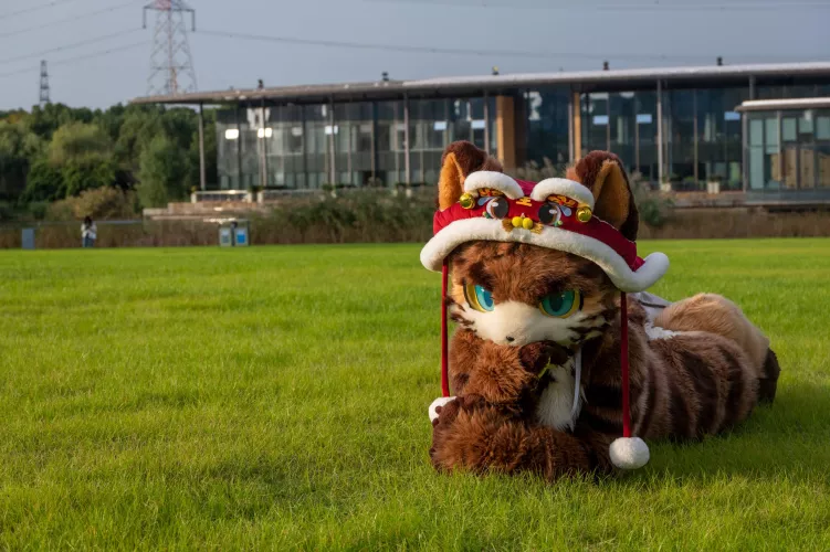 @tz12138 on Twitter, gazing at you quietly