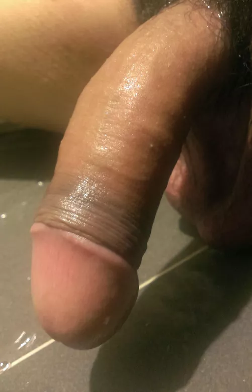 What do you think of the sight?