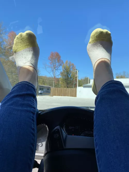 Wish I could have taken this pic from the other side of the window