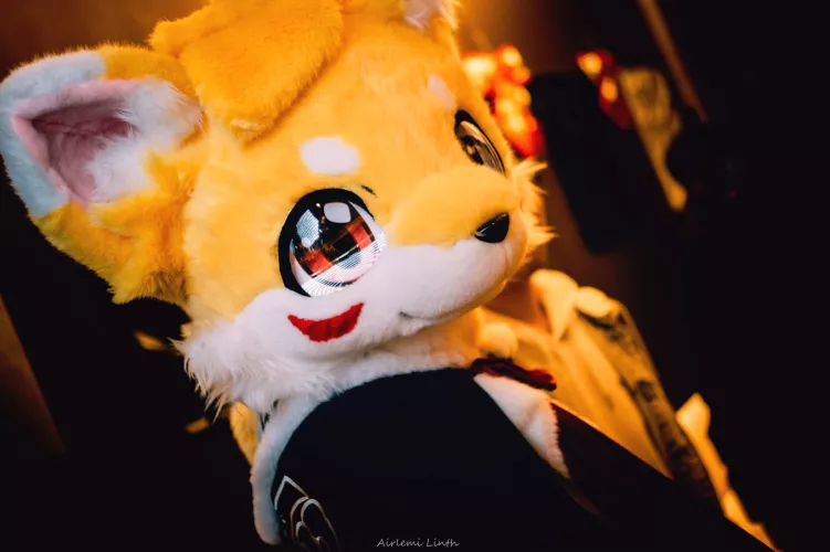 @Wolf_Bul on Twitter