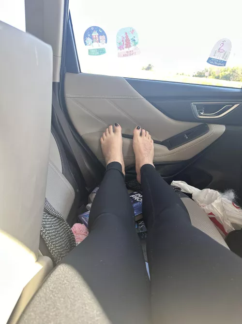 Can I be your passenger princess?