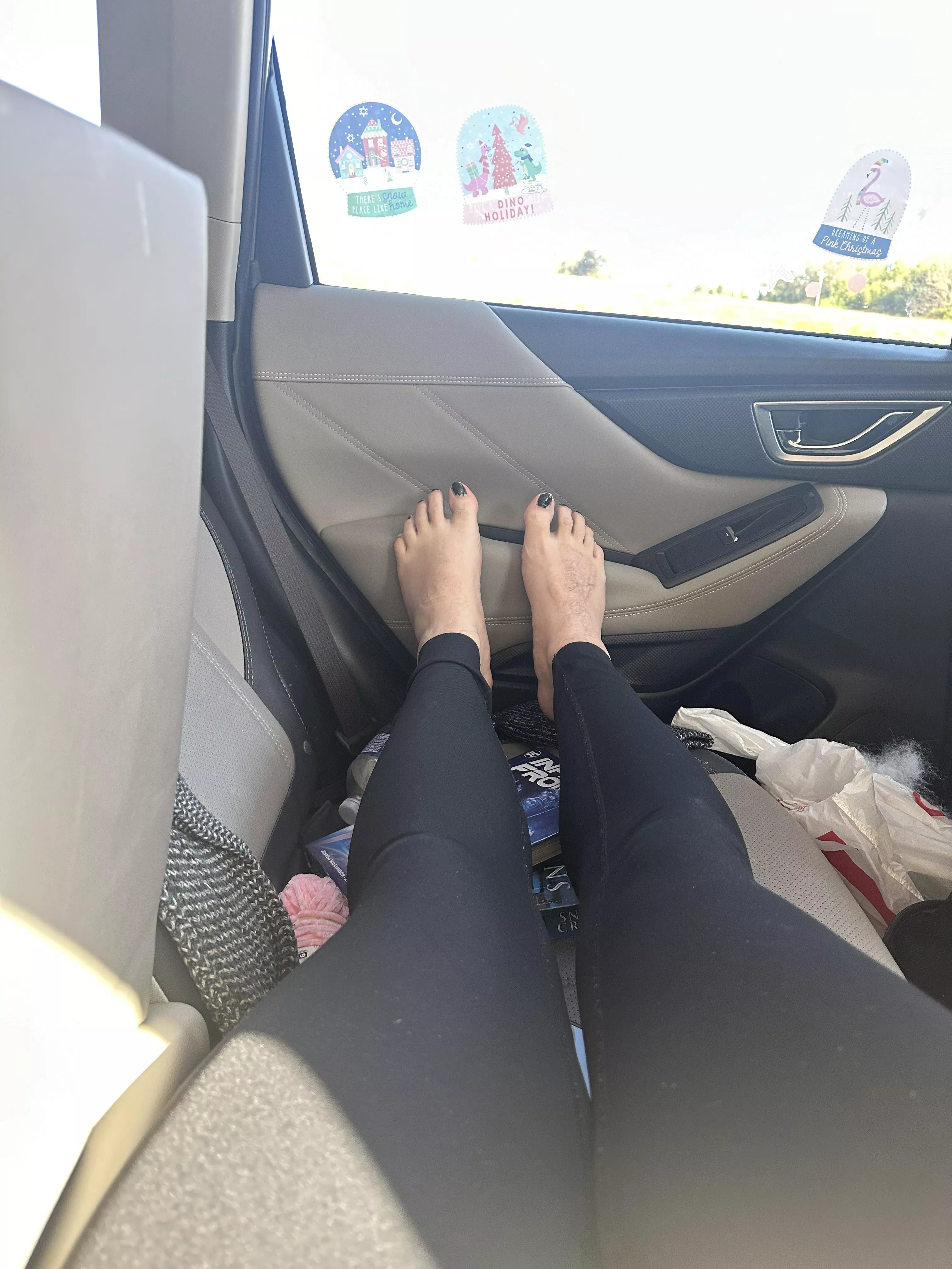 Can I be your passenger princess?