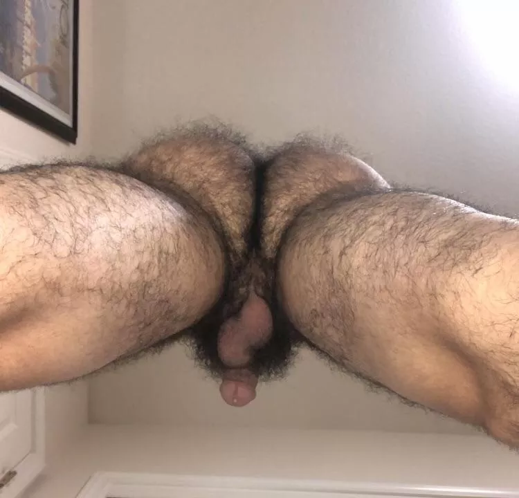 Can I sit on your face?