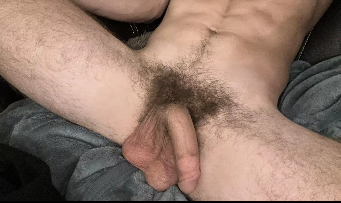 Hairy soft cock