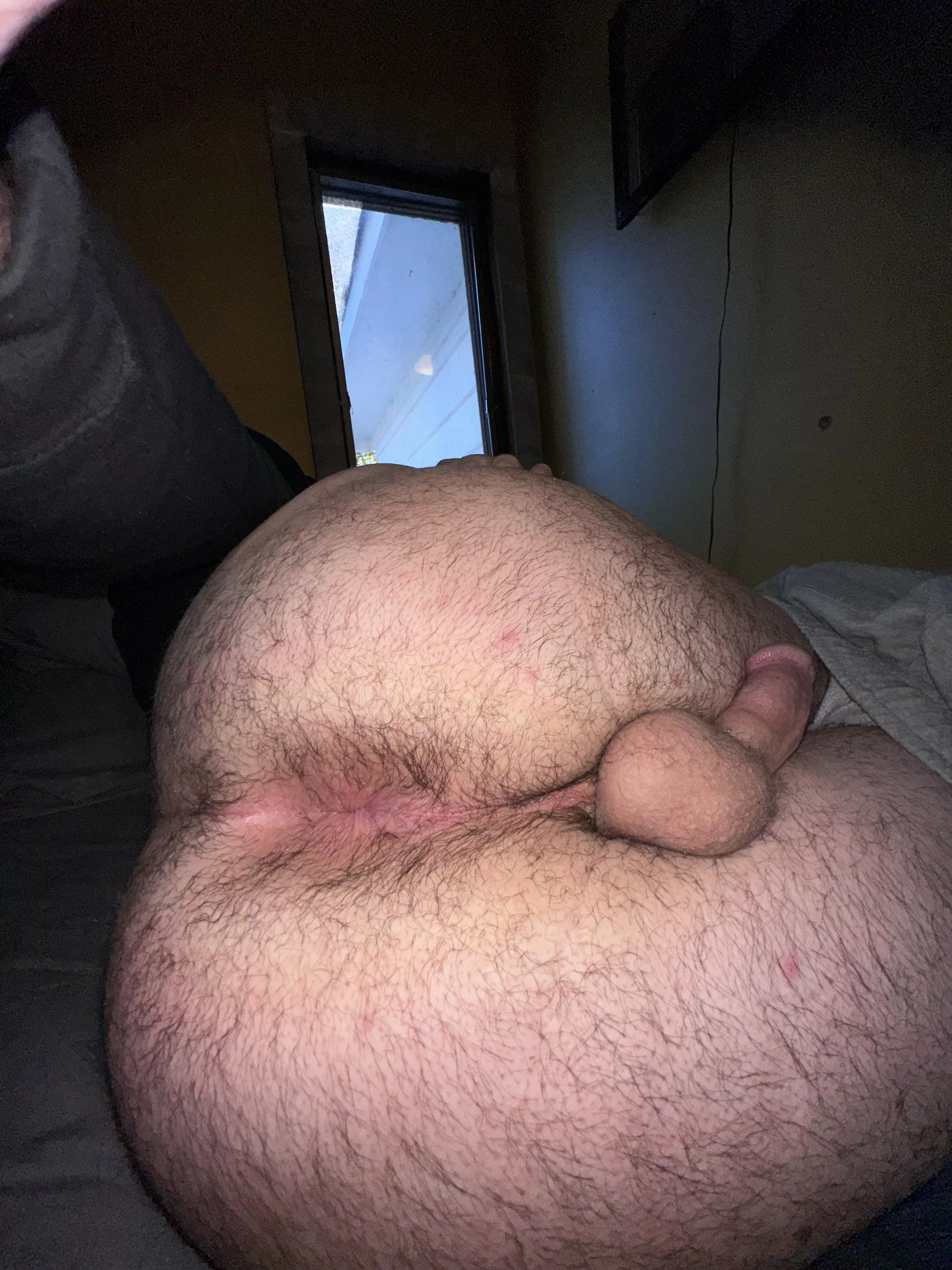 Haven’t shaved in a little over a month. What do you think?