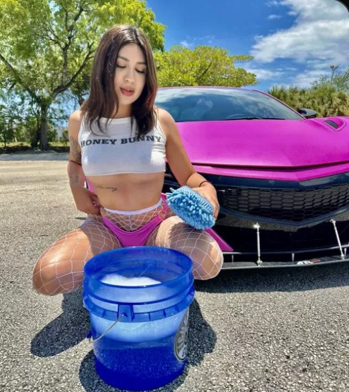I think she likes me a lot because she always dresses like this to wash my car!