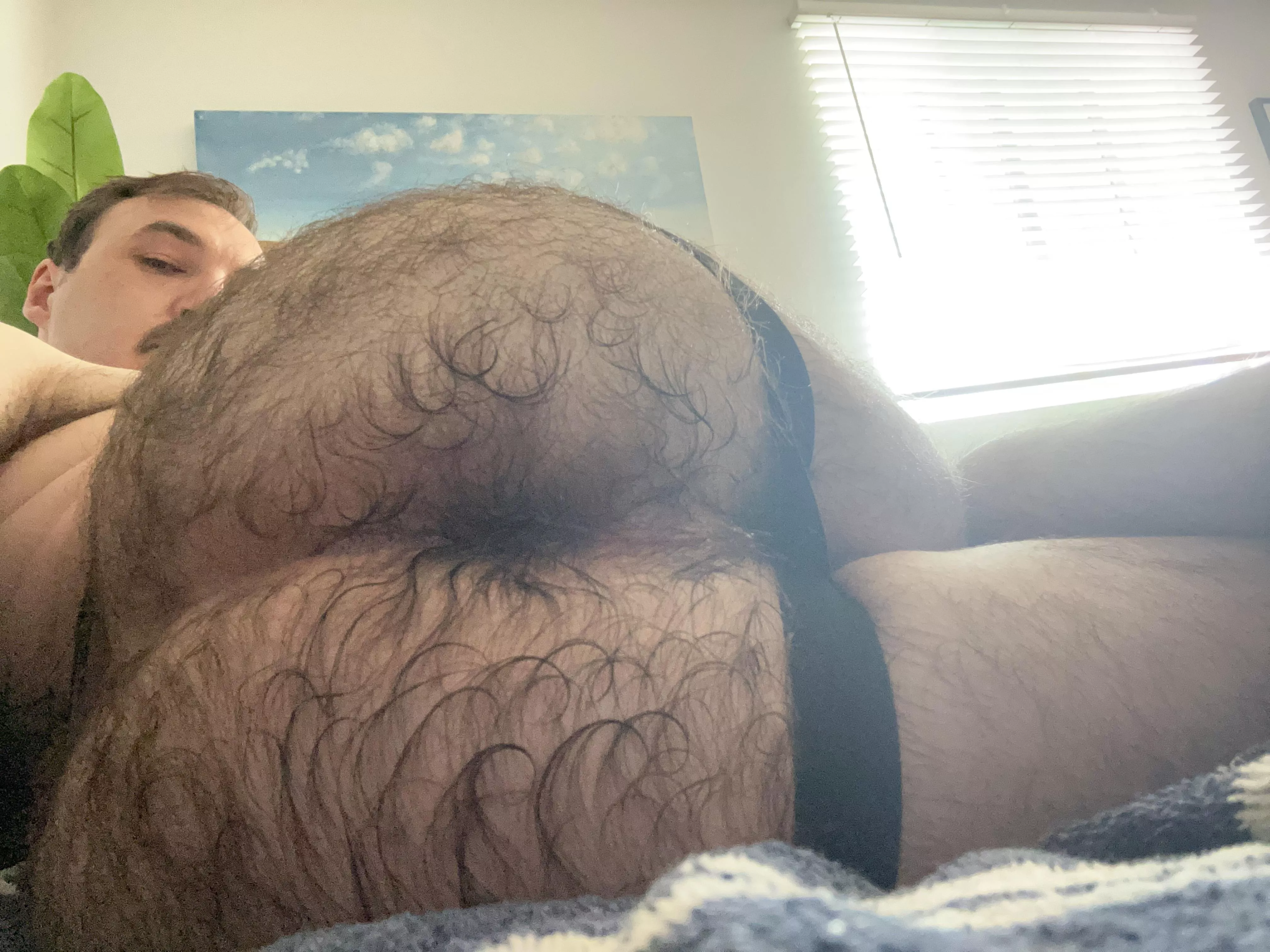 My hairy bum tends to split opinion. I hope you all like it