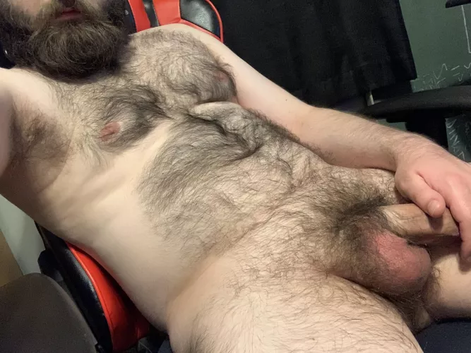 Professional lounger