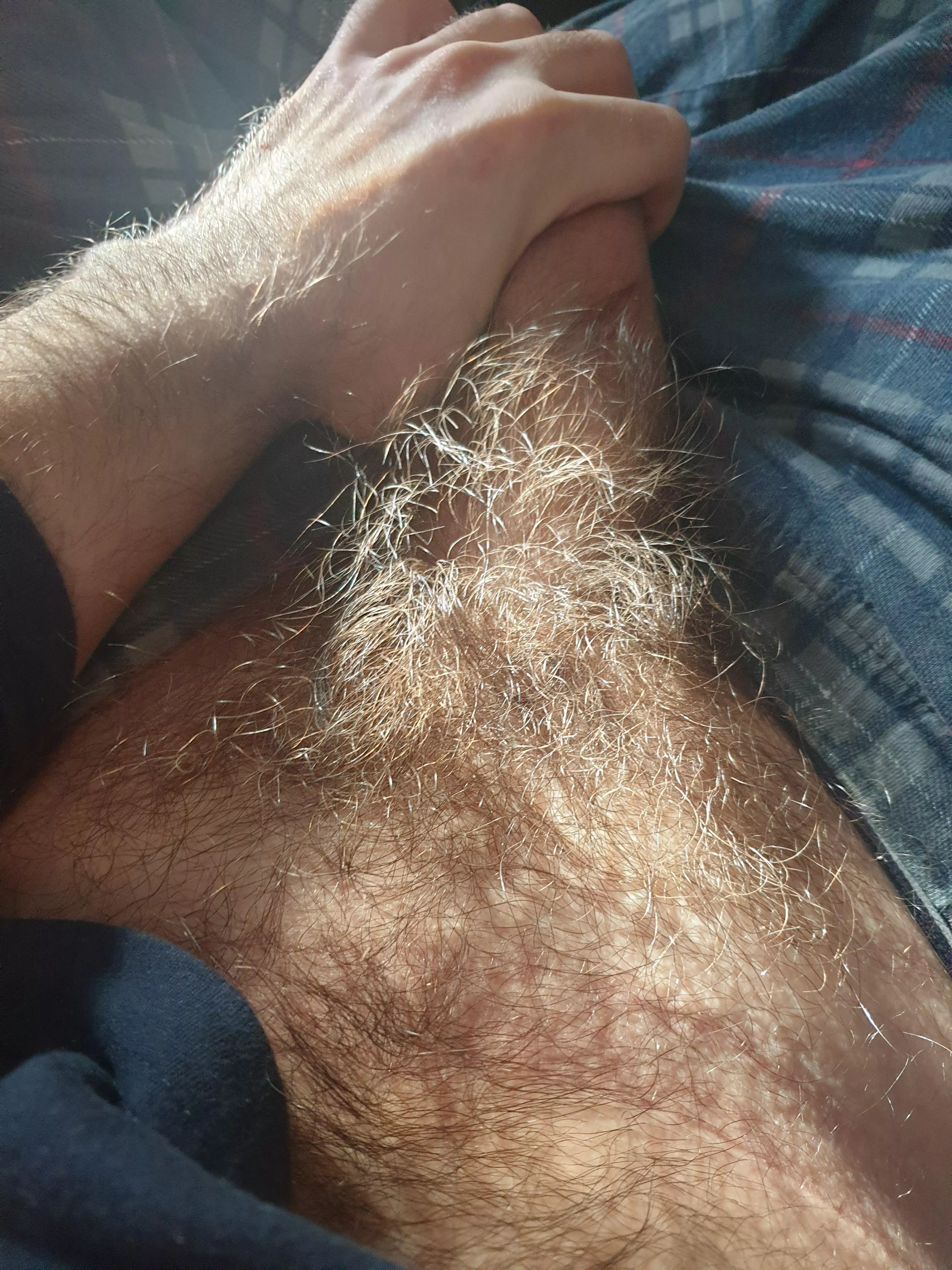 What do you think of my bush in the sunlight?