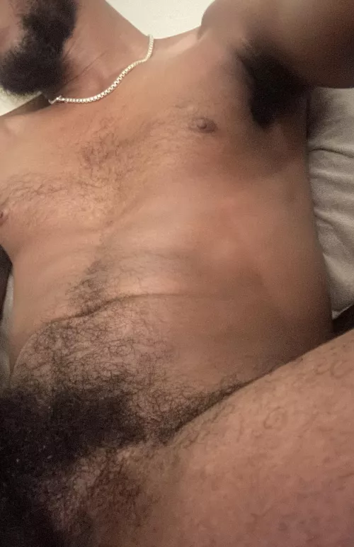 Where are you going to sniff first?