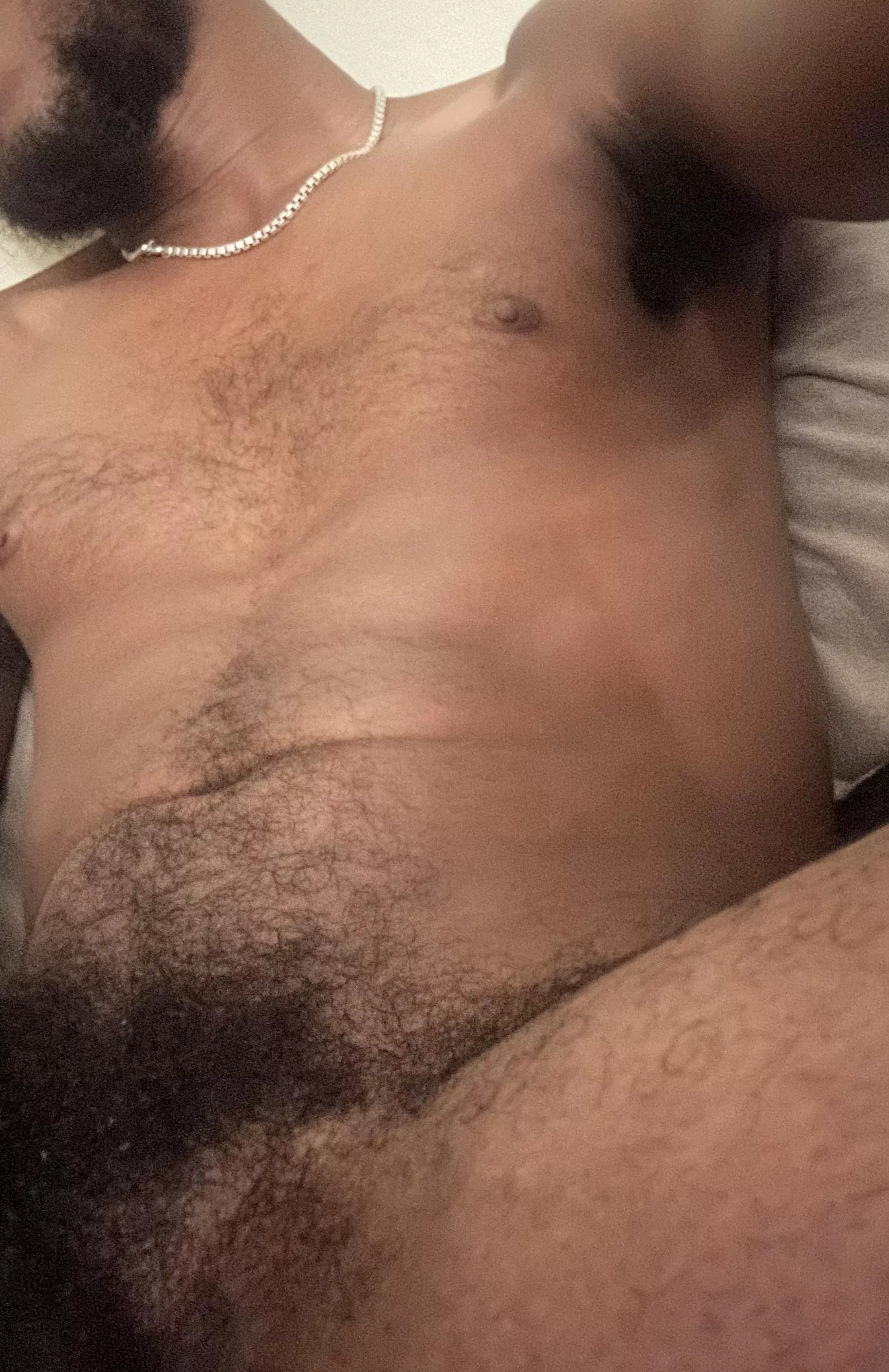 Where are you going to sniff first?