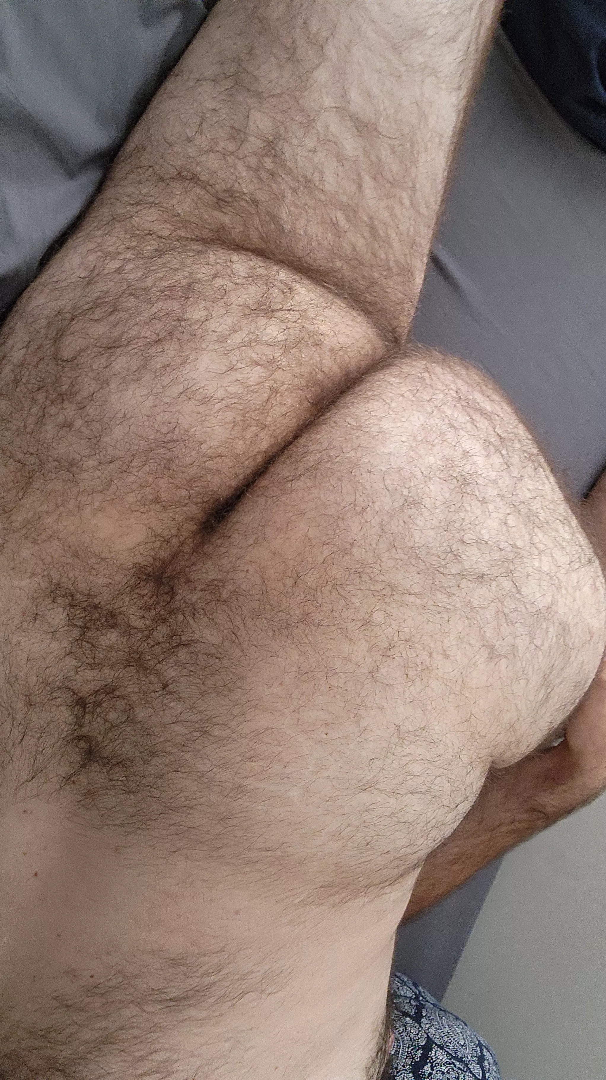 Your average hairy dude ass [21]