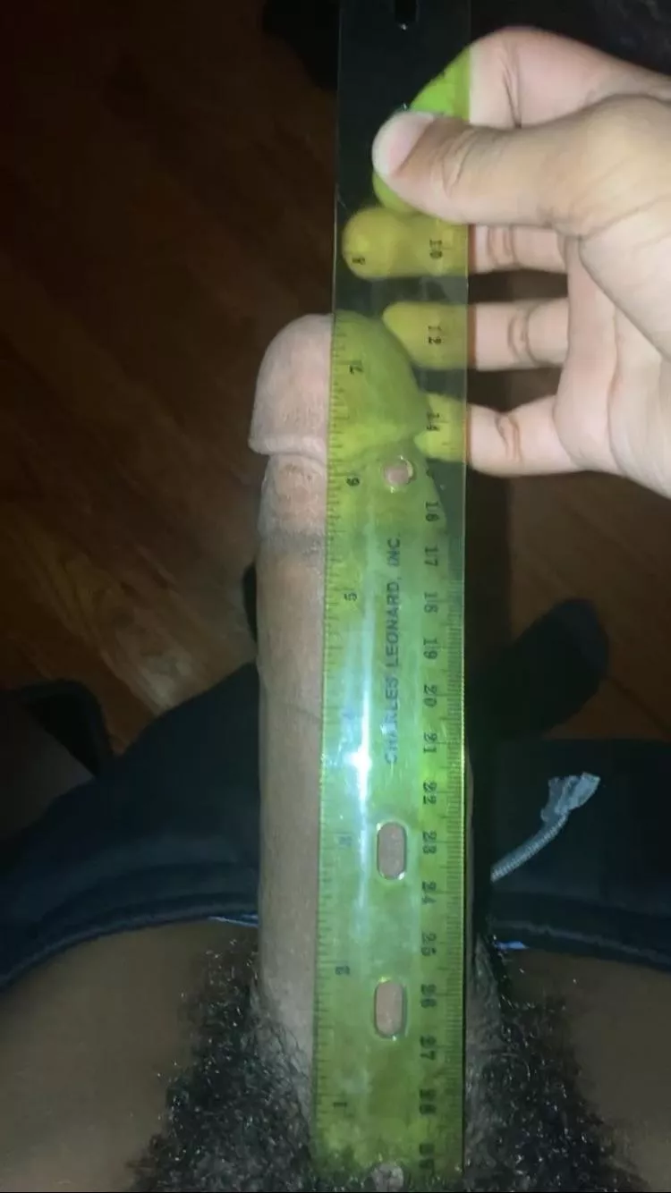 Almost 8 inches 😅