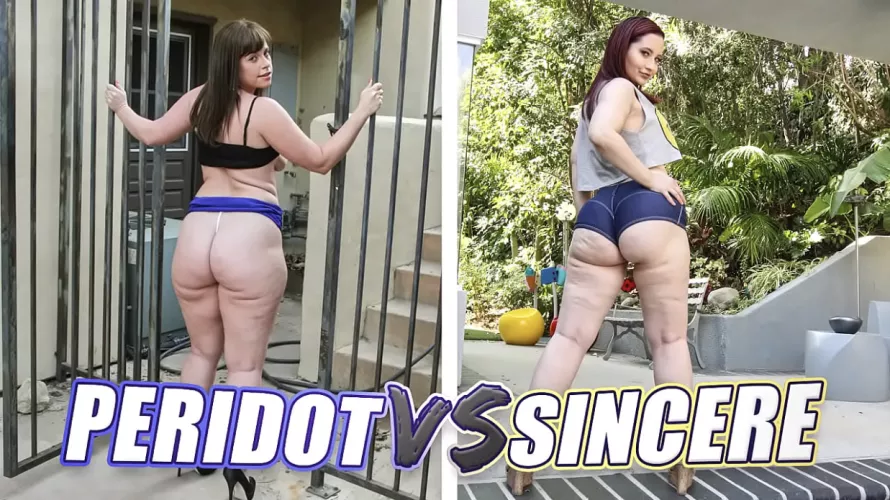 Battle of the Asses. Who gets your vote. Virgo or Lily ?