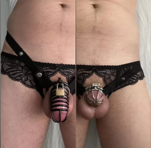 Chastity comparison, first cage and current cage