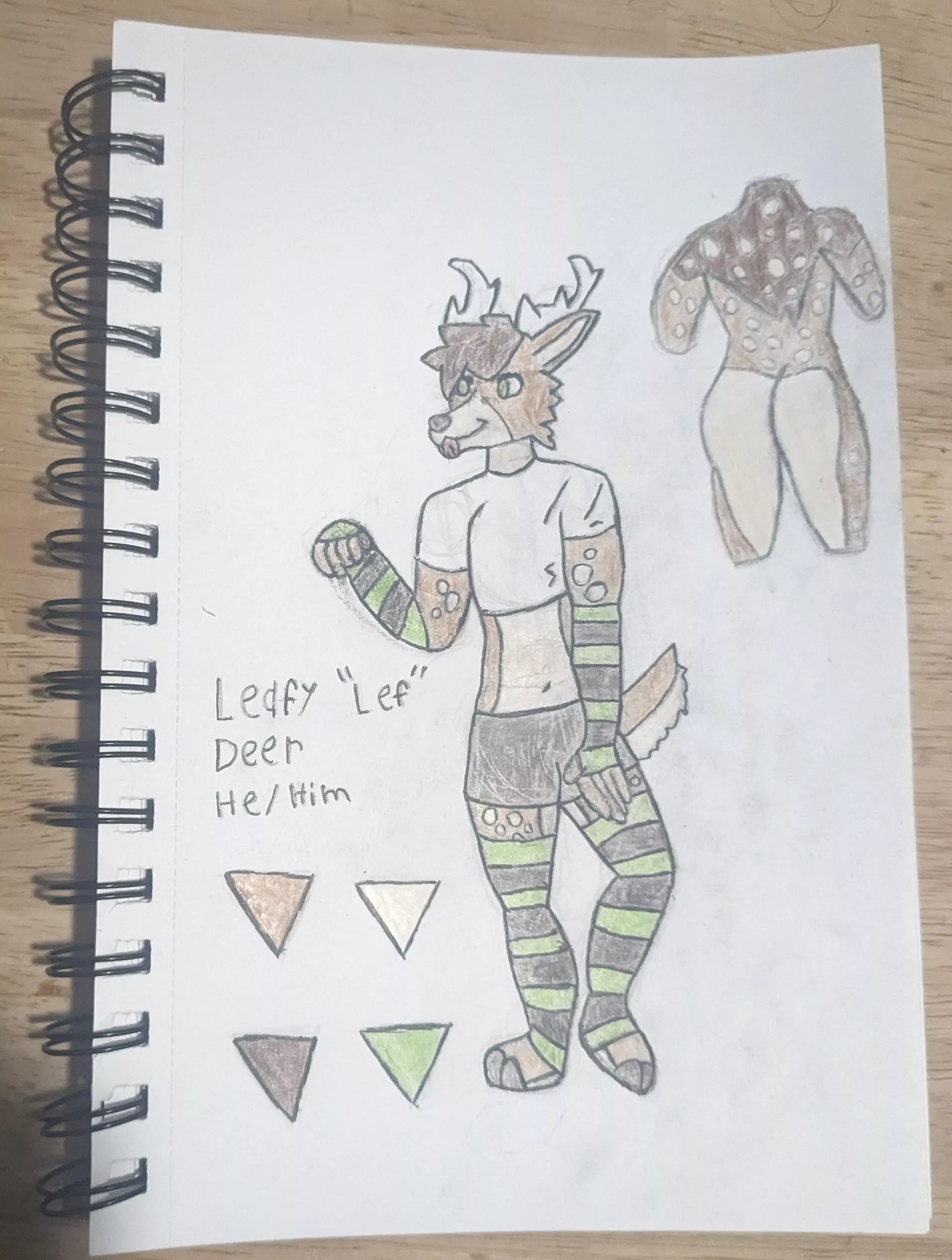 Finally have a sona ref sheet, what do you think