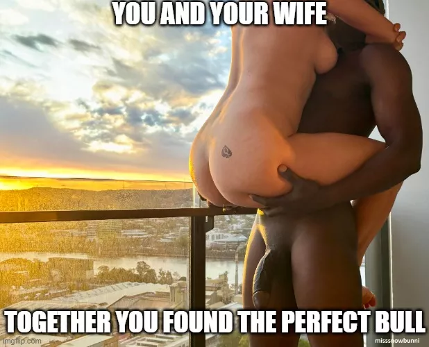 Finding the right bull isn't easy. But it's worth it