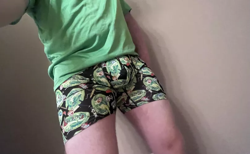 I turned myself into a budge, morty? [39]