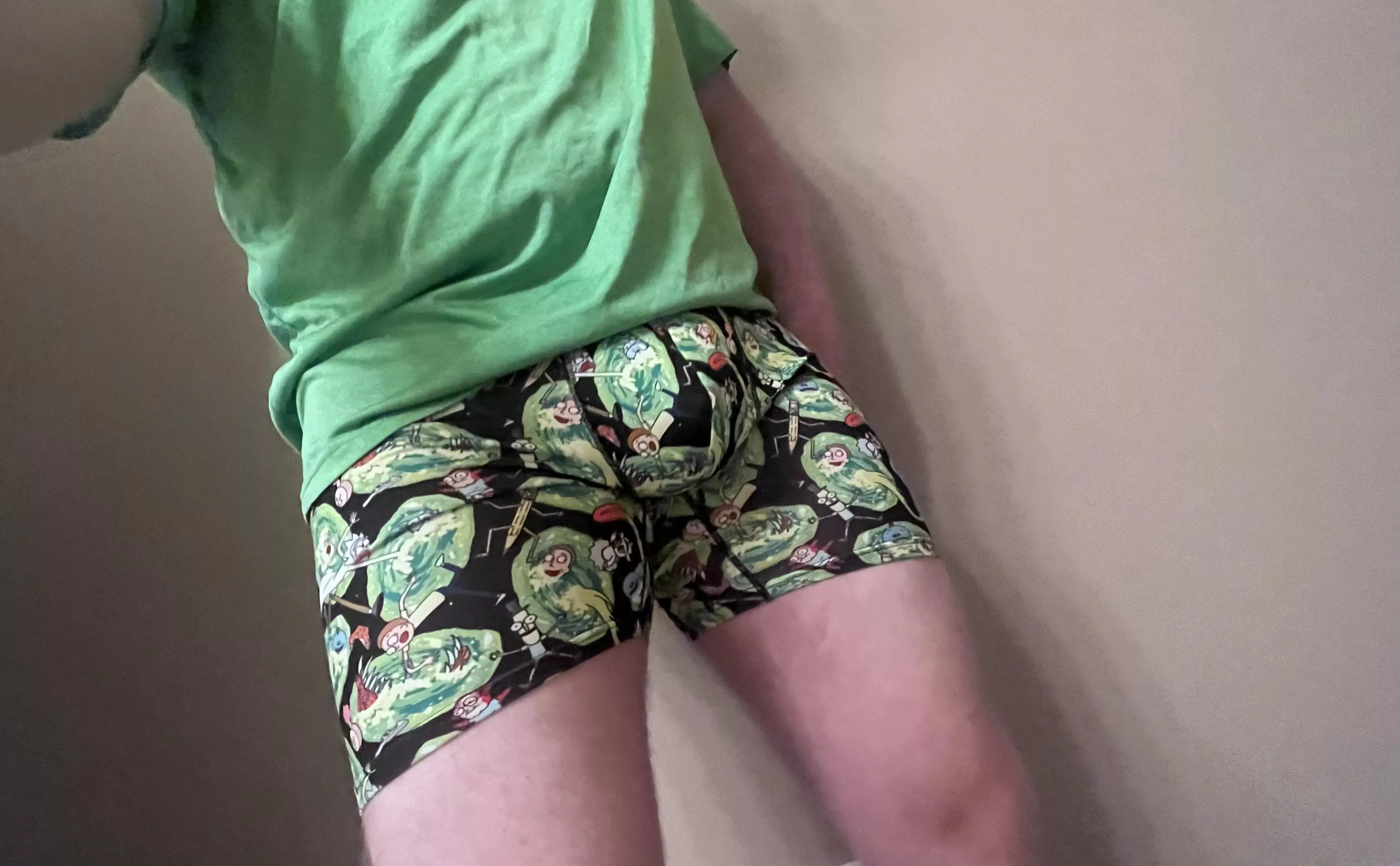 I turned myself into a budge, morty? [39]