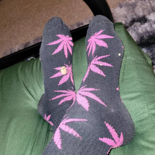 I'll be impressed if you can guess correctly what all the holes are from😆