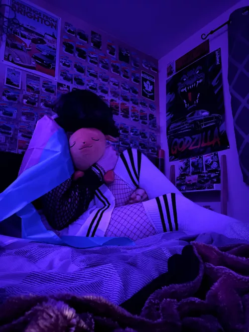 Love plushies so much :3